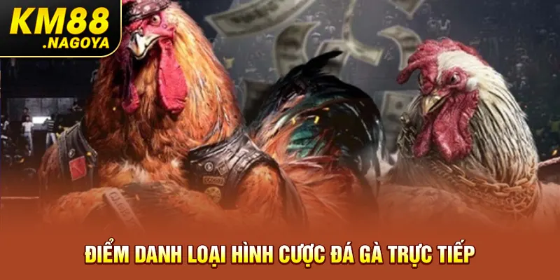 Điểm danh loại hình cược đá gà trực tiếp