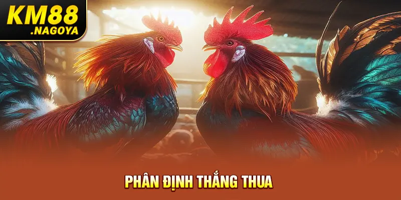 Phân định thắng thua