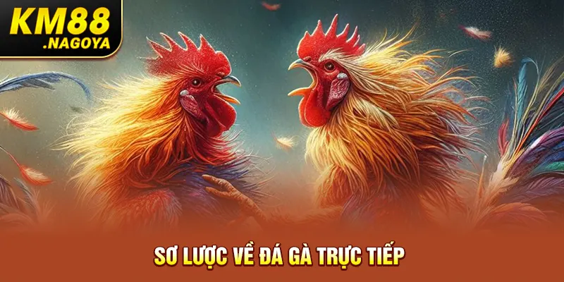 Sơ lược về đá gà trực tiếp