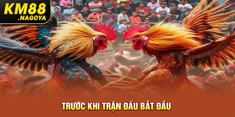 Trước khi trận đấu bắt đầu